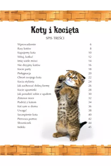 Odkrywanie �wiata. Koty i koci�ta
