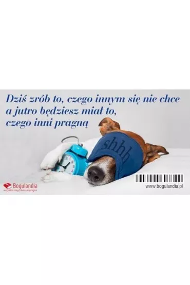 Bogulandia Magnes na lod�wk� - Dzi� zr�b to, czego innym?