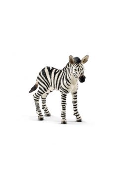 Zebra rebi