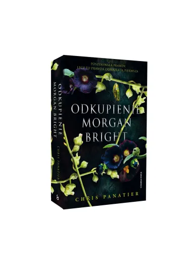 Odkupienie Morgan Bright - Chris  Panatier