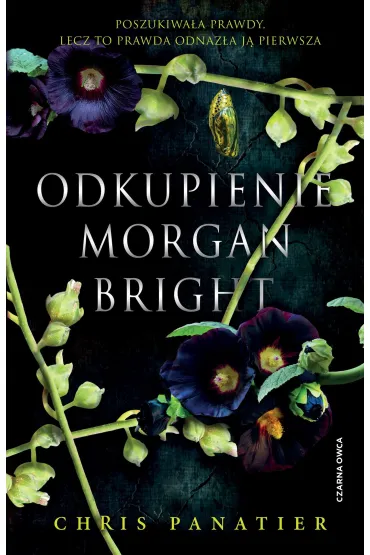 Odkupienie Morgan Bright - Chris  Panatier