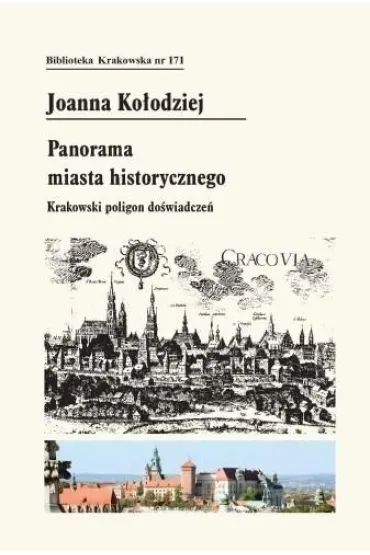 Panorama miasta historycznego - Joanna  Ko�odziej