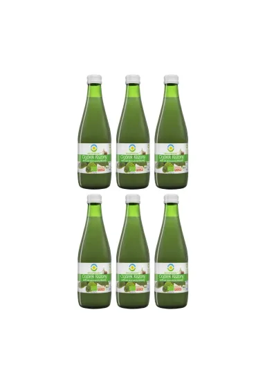 Bio Food Sok z og�rk�w kiszonych Zestaw 6 x 300 ml Bio