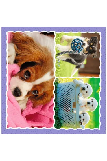 Puzzle 3w1 (20+36+50 el.) Urocze pieski Trefl