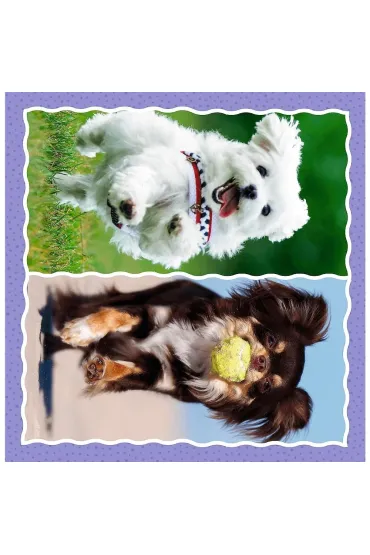 Puzzle 3w1 (20+36+50 el.) Urocze pieski Trefl