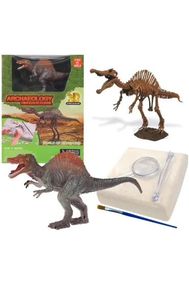 Wykopaliska paleontolog szkielet dinozaura Trifox