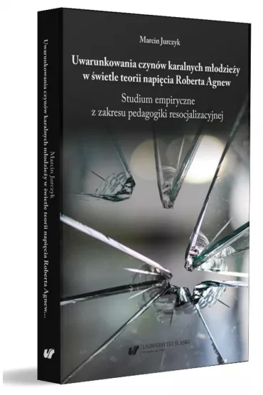Uwarunkowania czyn�w karalnych m�odzie�y w �wietle teorii napi�cia Roberta Agnew. Studium empiryczne z zakresu pedagogiki resocjalizacyjnej - Marcin Jurczyk