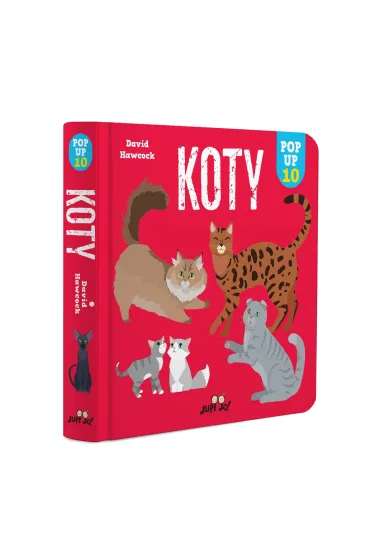 Koty. POP-UP 10 - David Hawcock