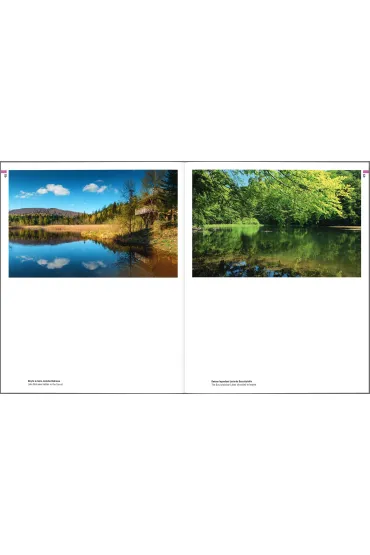 Bieszczady. Tam gdzie nied�wiedzie piwo warz� - Robert Ba�kosz