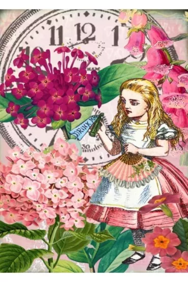 Madame Treacle Karnet B6 z kopert� Alicja w krainie czar�w