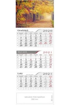 Kalendarz 2021 Trjdzielny Drzewa jesieni CRUX