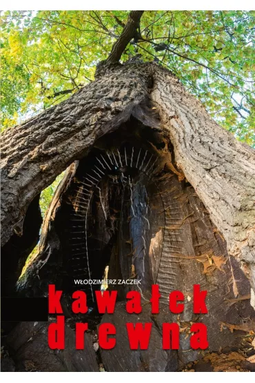 Kawa�ek drewna - W�odzimierz Zaczek