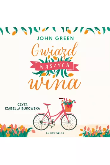 Audiobook Gwiazd naszych wina mp3 - John Green