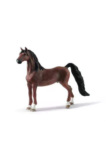 Wa�ach rasy Saddlebred