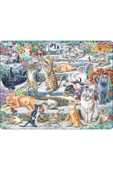 Puzzle Uk�adanka Koty Maxi Tactic