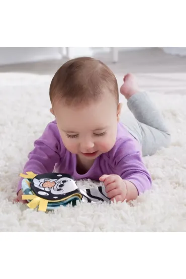 Fisher-Price. Rozko�ysana Wyderka 2w1 Poduszeczka Mattel