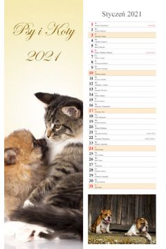 Kalendarz 2021 Psy i Koty 13 plansz