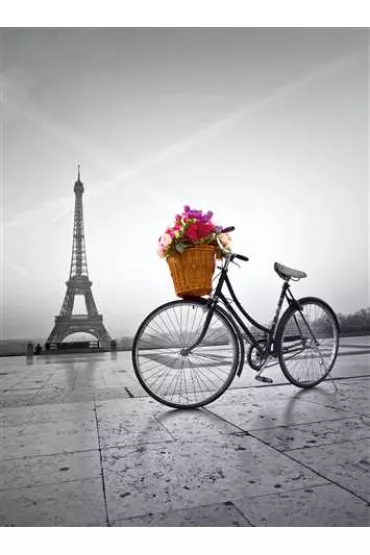 Puzzle 500 el. Romantic Promenade in Paris Clementoni