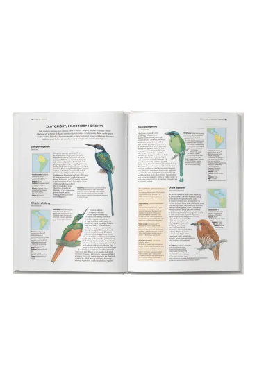 Encyklopedia ptak�w �wiata