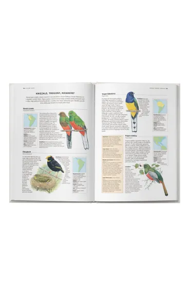 Encyklopedia ptak�w �wiata