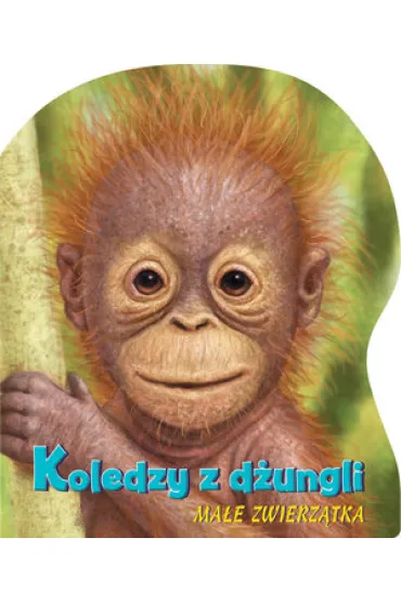 Koledzy z d�ungli. Ma�e zwierz�tka