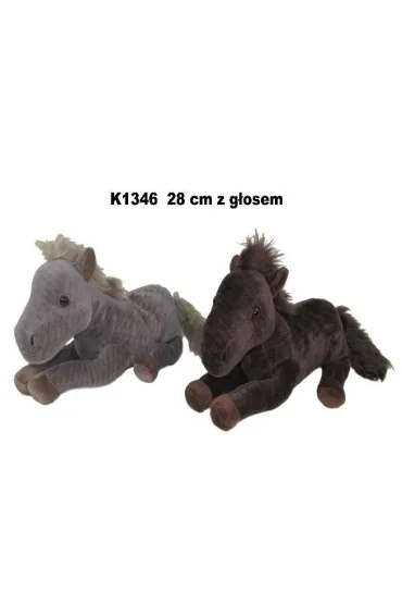 Ko� glos 28cm MIX Sun-Day