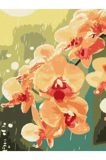 Ideyka Malowanie po numerach - Orchidea w kroplach 30x40cm