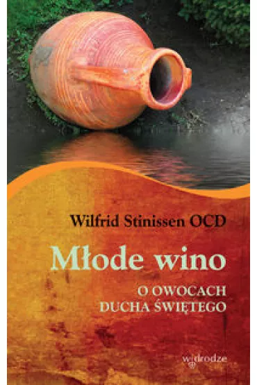 M�ode wino. Owocach Ducha �wi�tego - Wilfrid Stinissen