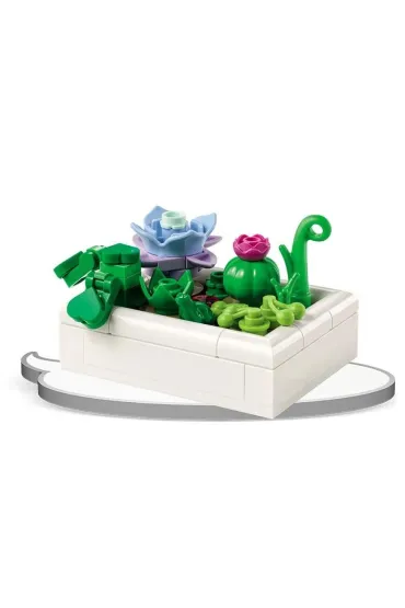 LEGO Botanicals. Miniaturowy pustynny ogr�d