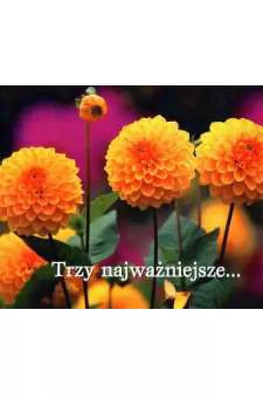 Trzy najwa�niejsze... Pere�ka 142