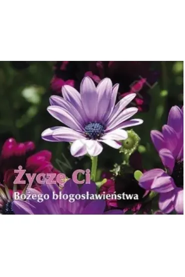 �ycz� Ci Bo�ego b�ogos�awie�stwa. Pere�ka 215