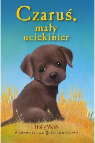 Czaru� ma�y uciekinier - Holly Webb