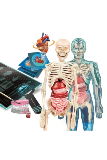 Super Anatomia Clementoni