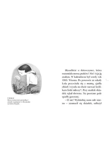 Lola i ptaki. Czytam sobie. Poziom 3 - Wioletta Grzegorzewska