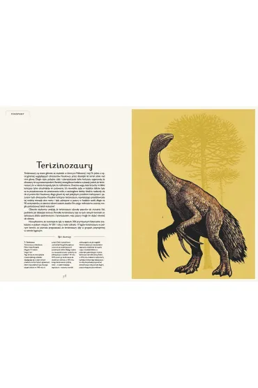 Dinozaurium. Muzeum Dinozaur�w - Lily Murray