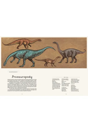 Dinozaurium. Muzeum Dinozaur�w - Lily Murray
