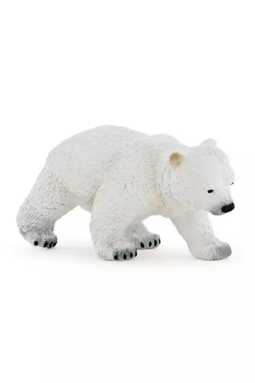 Nied�wied� polarny m�ody