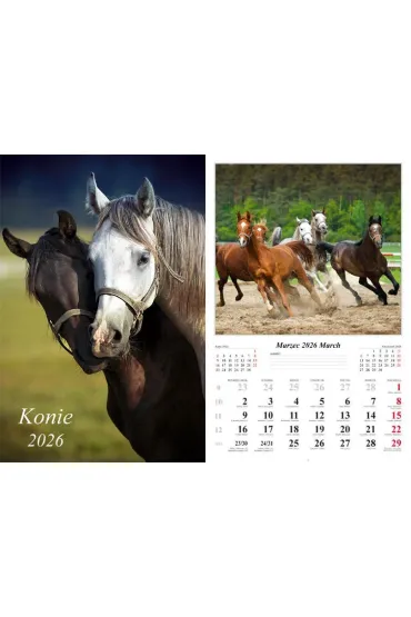 Kalendarz �cienny 2026 Konie