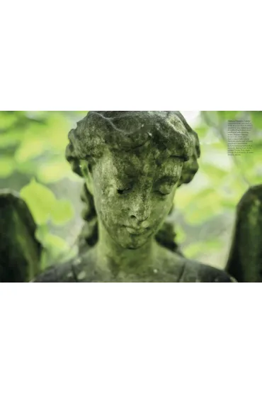 Graveyards wer. angielska - Horne Alastair
