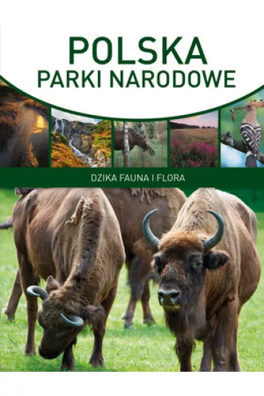 POLSKA PARKI NARODOWE-OLESIEJUK - Marcin Panek