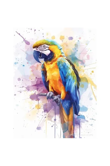 Koh-I-Noor Malowanie po numerach - Papuga 40x50cm