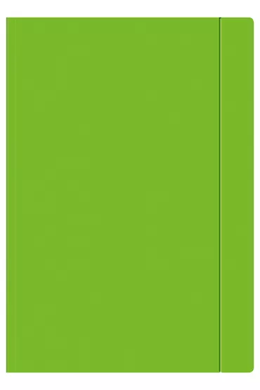 Interdruk Teczka A4+ z gumk� Fluo