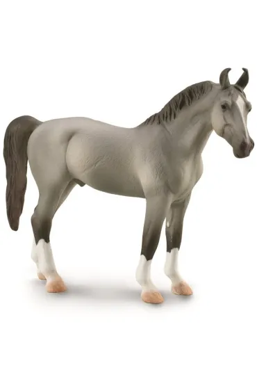 Ko� Marwari Stallion szary