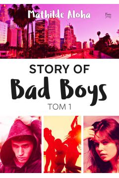 eBook Story of Bad Boys. Tom 1 mobi epub