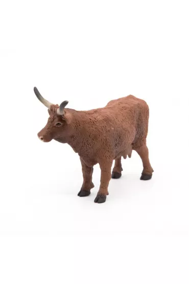 Krowa Salers