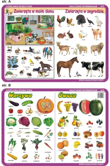 Visual System Podk�adka edukacyjna. Warzywa, owoce, zwierz�ta