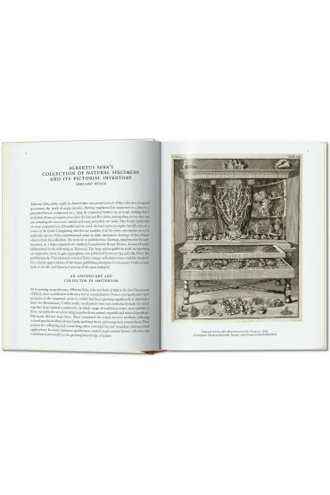 Cabinet of Natural Curiosities wer. angielska - M�sch Irmgard
