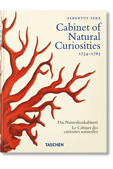 Cabinet of Natural Curiosities wer. angielska - M�sch Irmgard