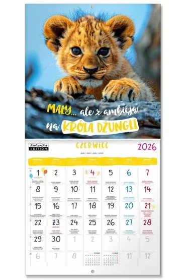 Kukartka Kalendarz Classic Q WILD PUPPIES 2026