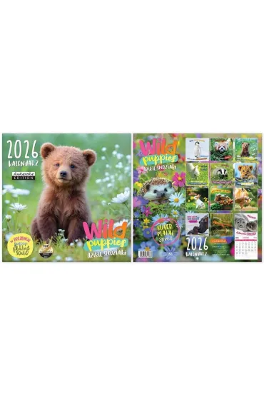 Kukartka Kalendarz Classic Q WILD PUPPIES 2026